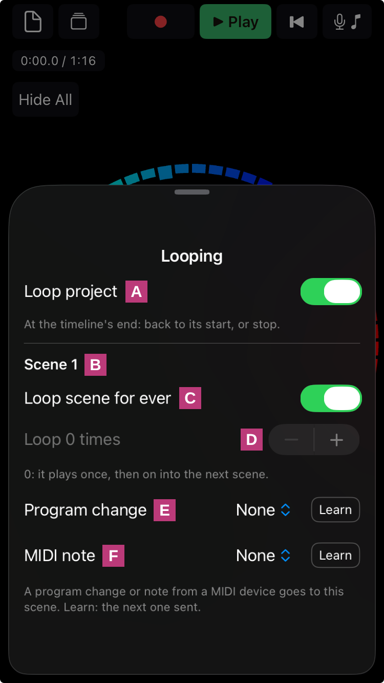 Looping: the project and the scene